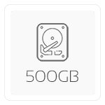 500 GB M.2 PCIe NVMe SSD (Seq. Lees: 3400 MB/s, Schrijf: 2300 MB/s) Meest Gekozen