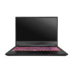 Clevo NH55RGQ Mx250 Linux Laptop