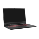 Clevo NH70RZQ Linux Laptop