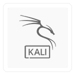Kali Linux 2023.3 (64-bit)