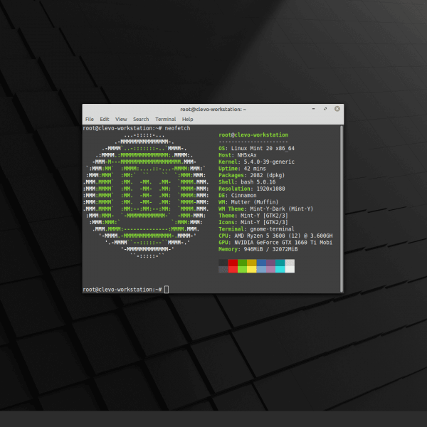 Linux Mint 20 Terminal